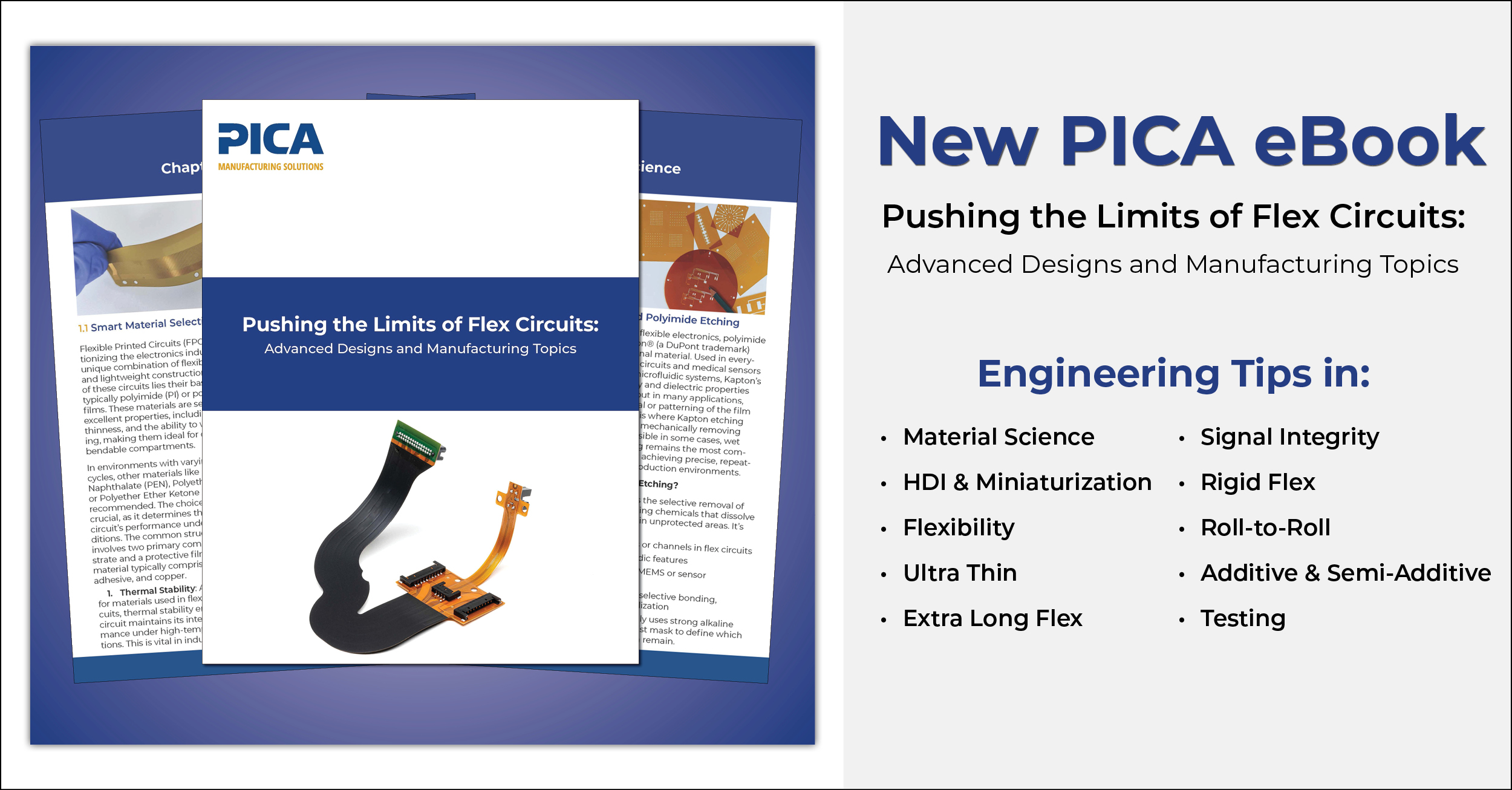 PICA second eBook cover